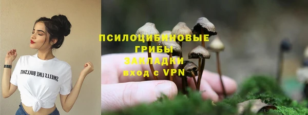 дмт Каменногорск