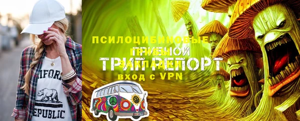 дмт Каменногорск
