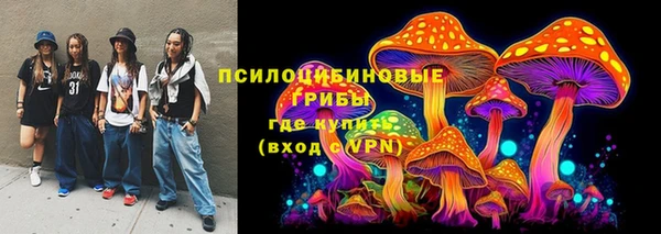 дмт Каменногорск