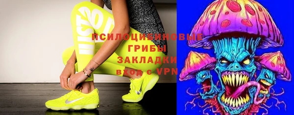 экстази Каменка