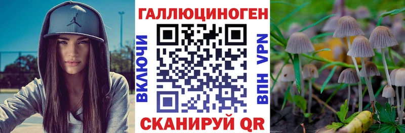 Галлюциногенные грибы Psilocybine cubensis  Купить закладки  Елабуга 